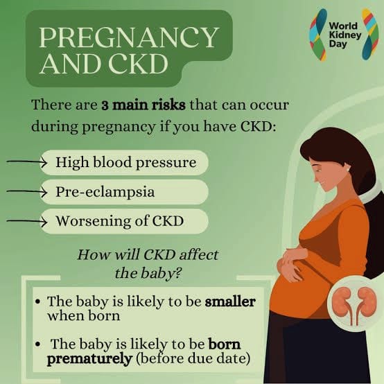 Renel Failure in Pregnancy