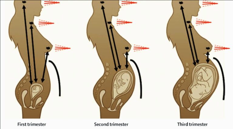 Pregnancy and cancer treatment